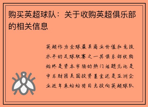 购买英超球队：关于收购英超俱乐部的相关信息